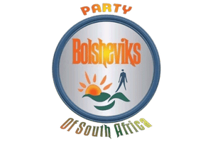 https://bolsheviks.co.za/